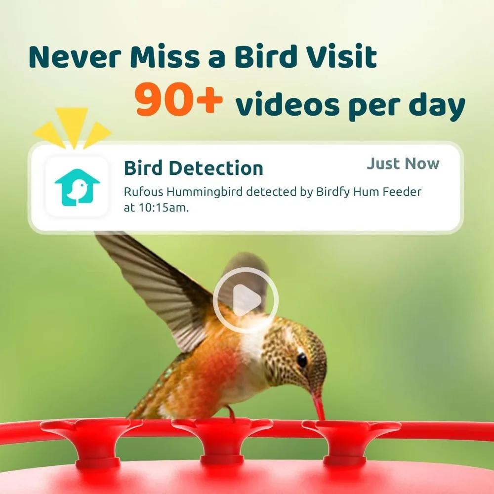 Birdfy®Mangiatoia per colibrì con fotocamera-doppia fotocamera intelligente 2K, birdwatching Close-Up, AI a vita identifica il colibrì