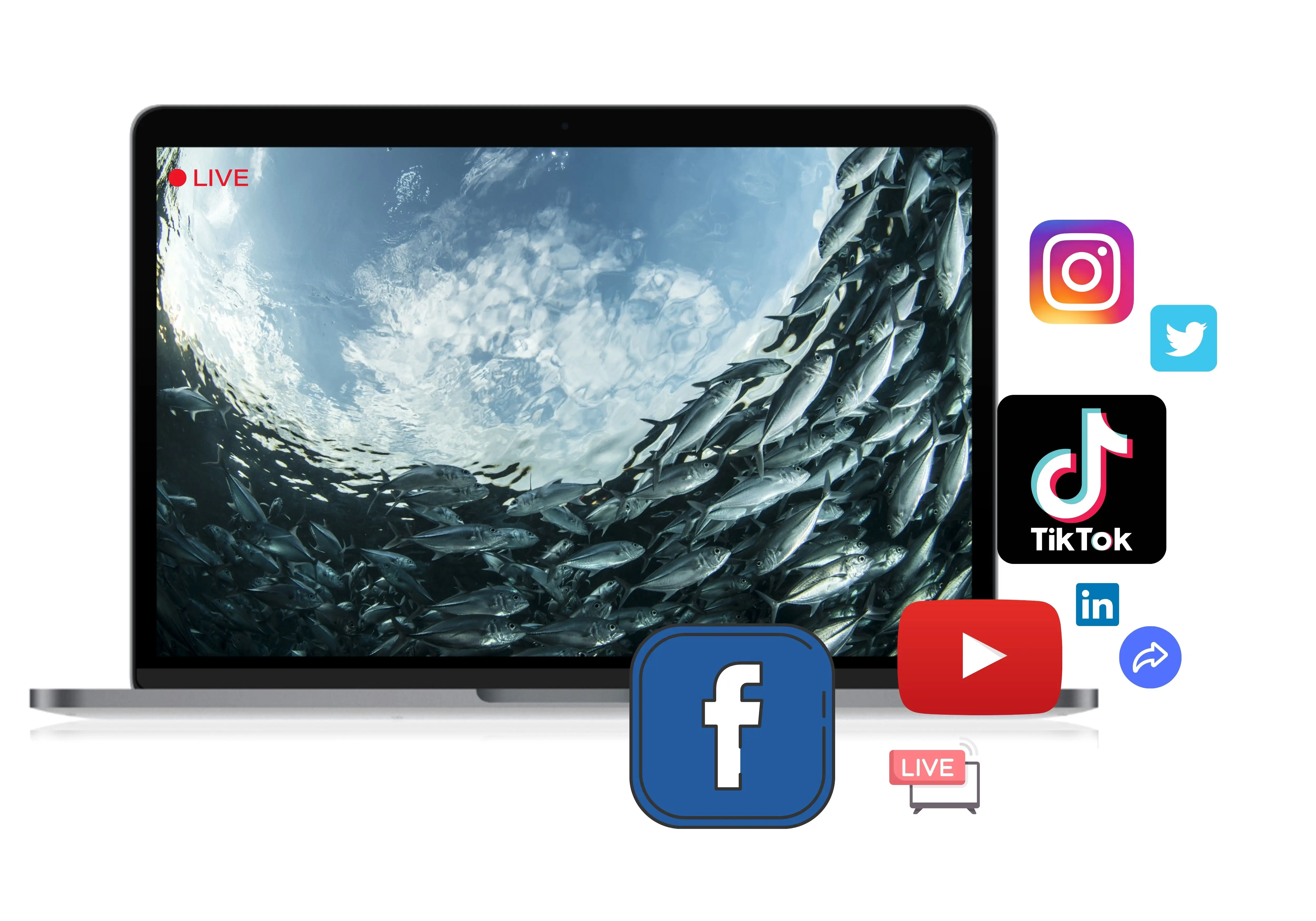 IP68 de acero inoxidable piscina pecera estanque de peces red deportiva cultivo cámara Industrial subacuática cámara Cctv