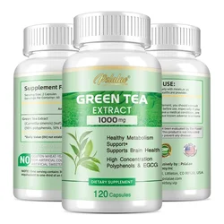 Green Tea Extract - Burning & Inhibiting Fat Control Appetite, Gut Health, Weight Management