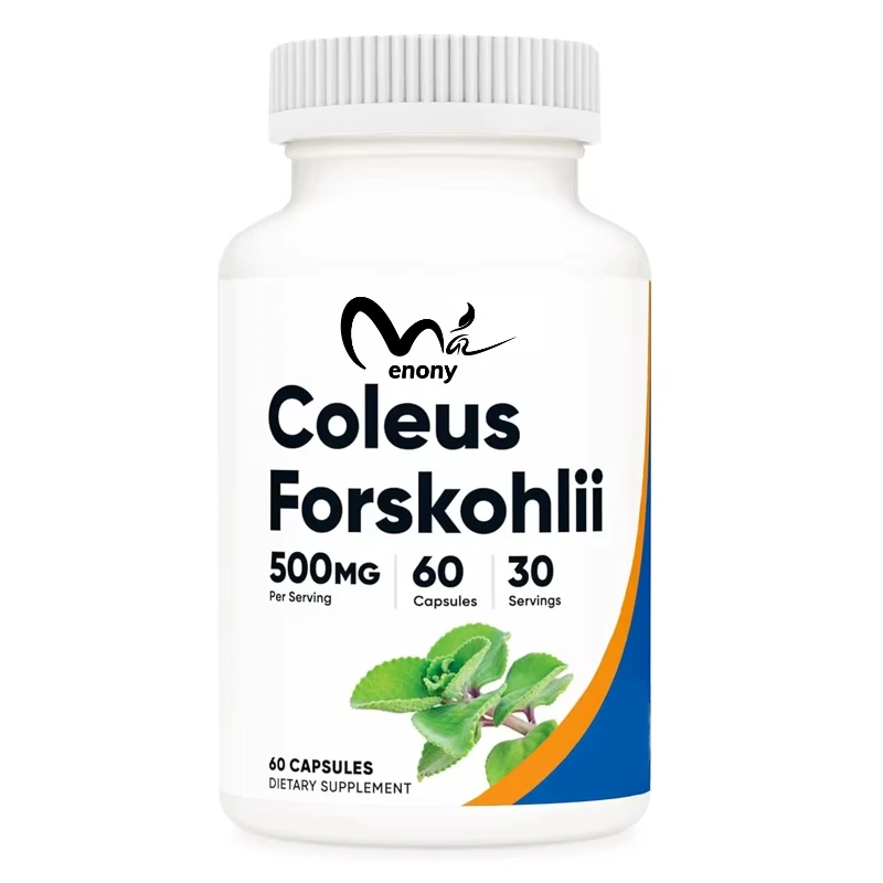 Forskolin Natural 500mg, 60 Cápsulas Vegetarianas - Potente Fórmula