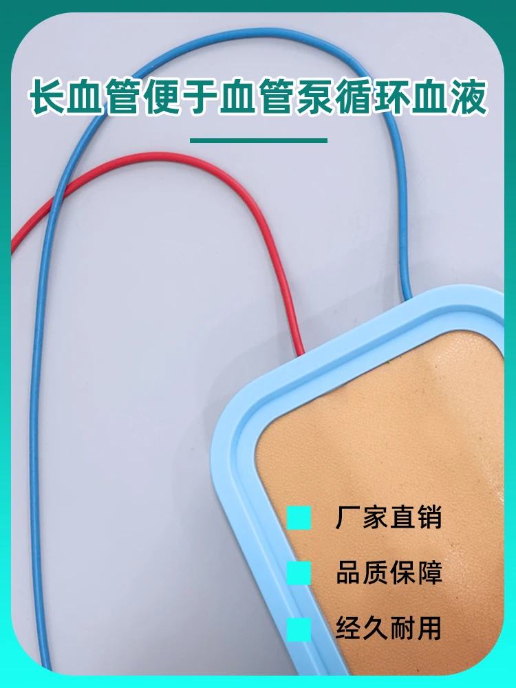 Intravenous Injection Practice Model Infusion Teaching Needle Drawing Blood Blood Practice Blood Vessel Puncture Skin Mold