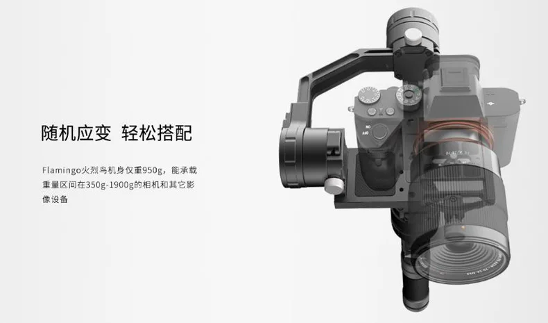 ZYX Flamingo-PRO Flamingo PRO SLR, Stabilizer Handheld PTZ ZYX02