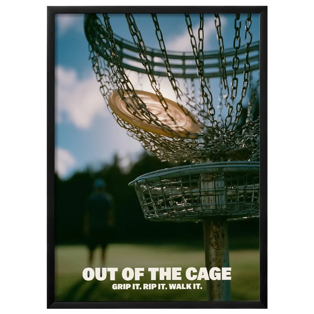 Disc Golf Basket Wall Art Print (24 x 36 inches Black Framed)