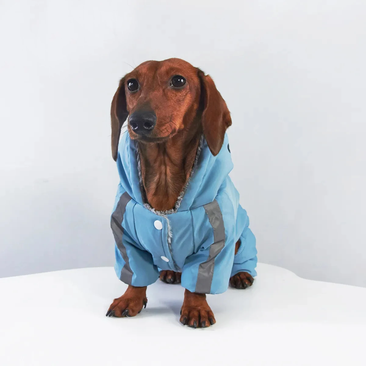 Reflecterende jas met vier poten voor windhonden, sweatshirt voor Wienerhonden, modieuze jas voor windhonden voor de herfst en winter.