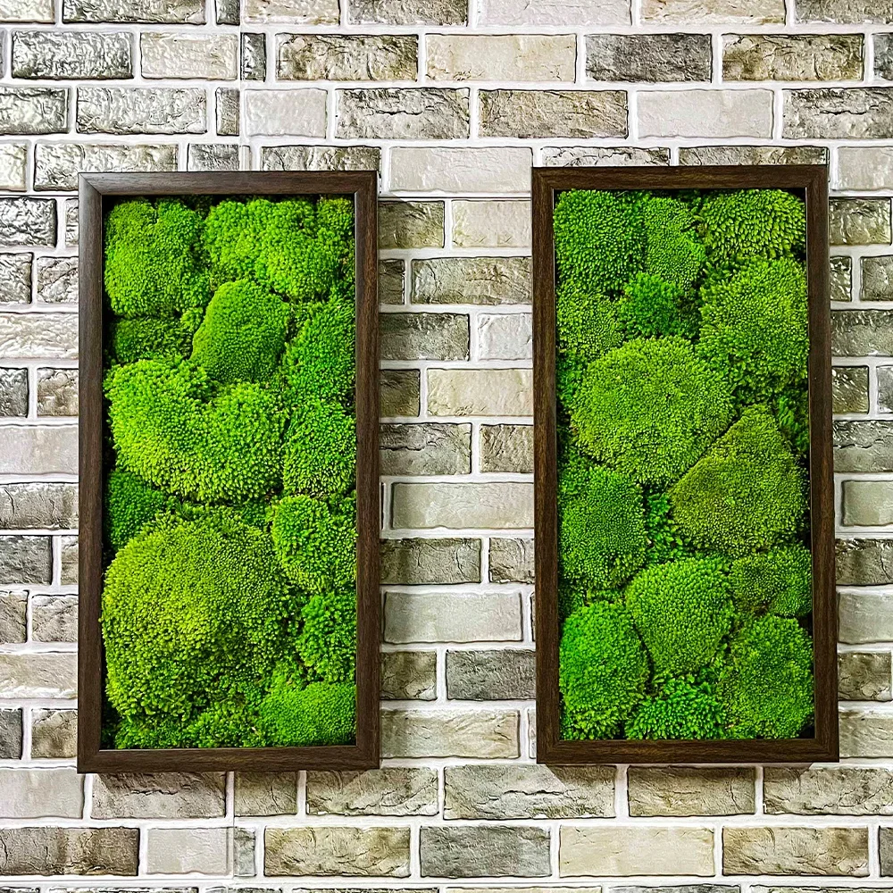 Arte de decoración de musgo de Reno Real 3D, pared de musgo verde Natural