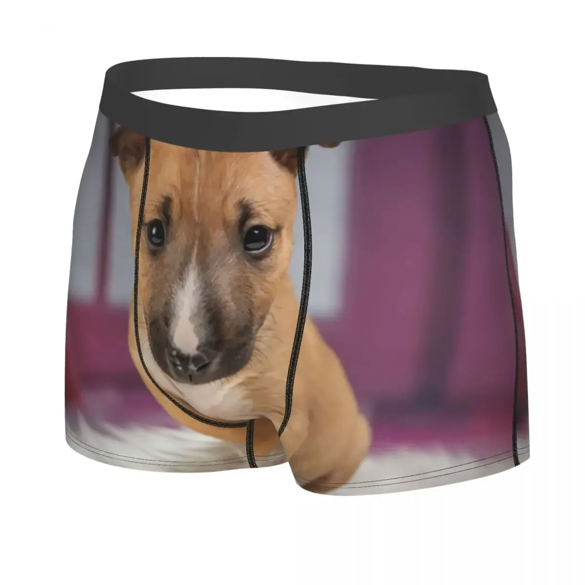 Bull Terrier Animal Pet Puppy Boxer Shorts Men 3D Printed Male Breathbale Underwear Panties Briefs