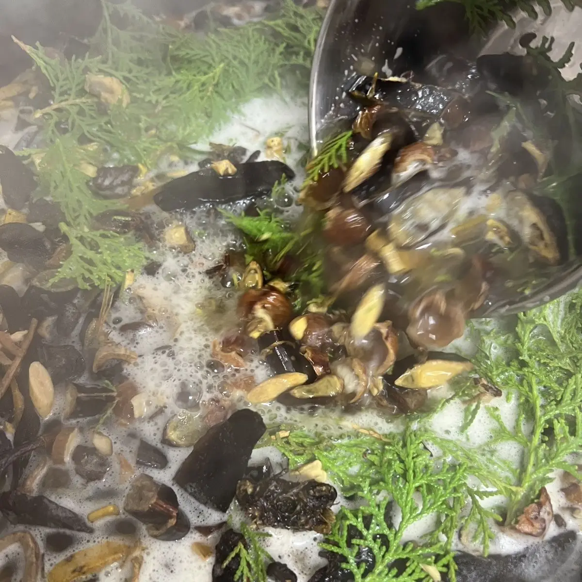 شامبو بيوتا آند فو تي المخمر يدويًا 500 مل، مضاد لتساقط الشعر والتحكم في الزيت مع مستخلص عشبي أصلي #4