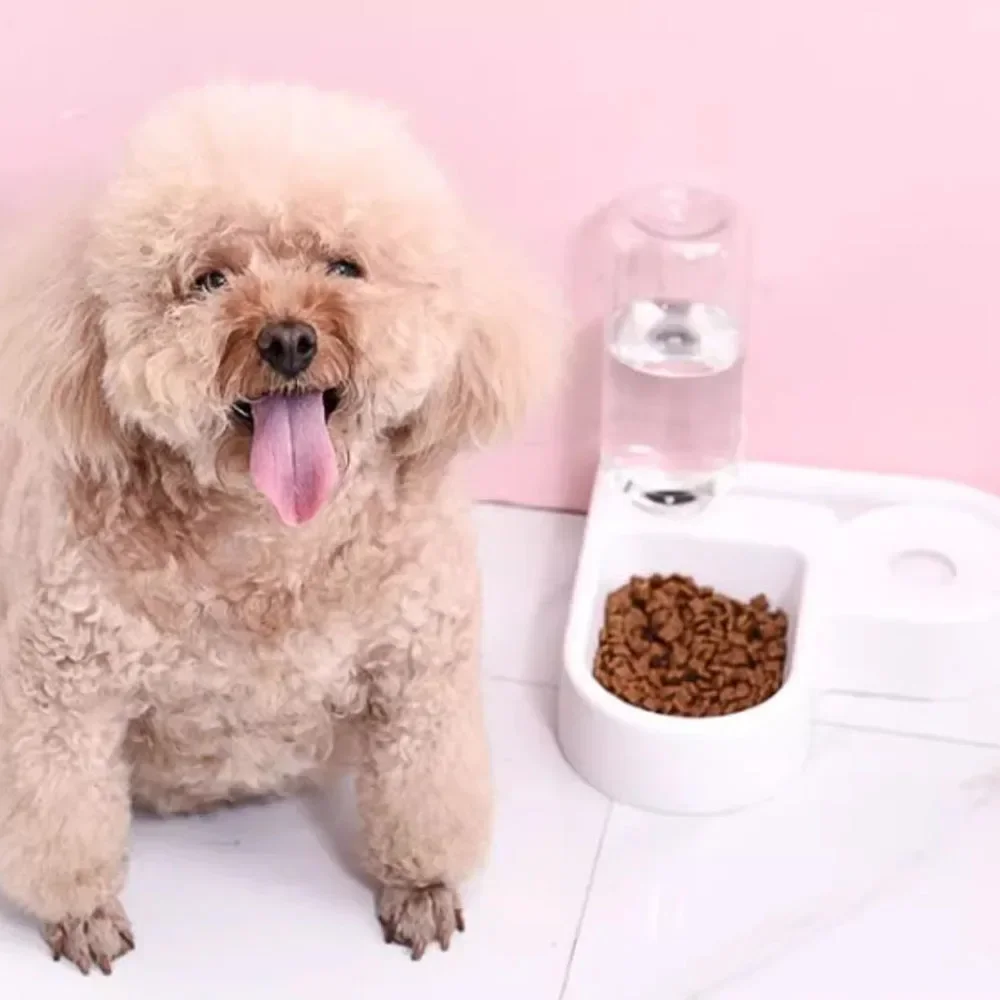 وعاء مياه أوتوماتيكي مع موزع - طبق طعام للحيوانات الأليفة مقاوم للرطوبة وعاء للشرب والتغذية للكلاب والقطط #6