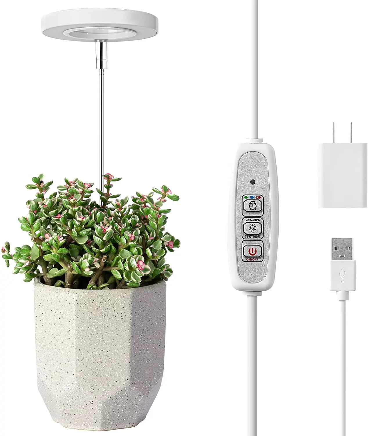 Luz LED de espectro completo para cultivo de plantas de interior, altura ajustable, 4 niveles de brillo regulables para plantas pequeñas