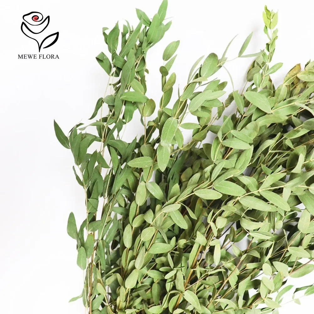 Preserved Eucalyptus Leaves Dried Green Plants Home Decoration Hanging Flowers Hotel Bathroom Flower Arrangement DIY Material