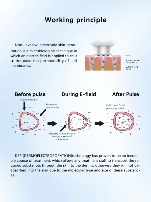 جهاز تجميل لشد الجلد من ديرما Electroporation فائق التوصيل، جهاز رفع مضاد للتجاعيد ومضاد للتجاعيد