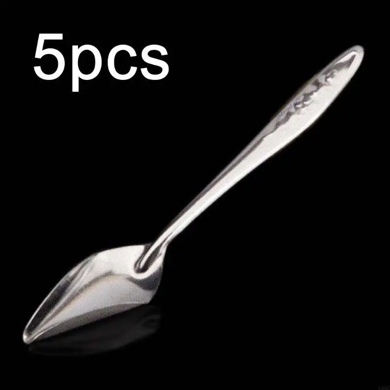 

U6XC 5 Pieces Bird Feeder Spoon Stainless Steel Water Feeding Spoon for Small Parrot