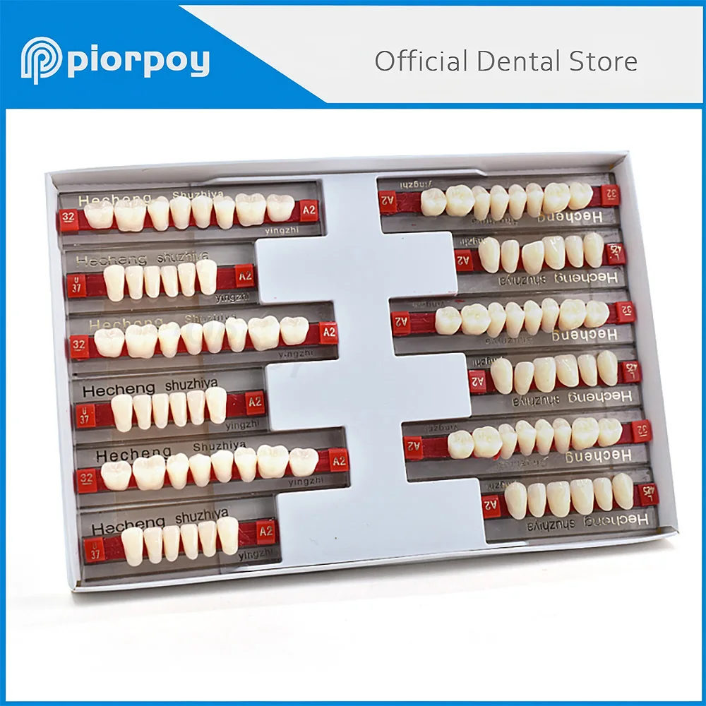 PIORPOY Dental A2 Acrylic Resin Teeth Shades Upper Lower Denture Processing for Dentists Lab Hard Synthetic Resin Teeth Dropship