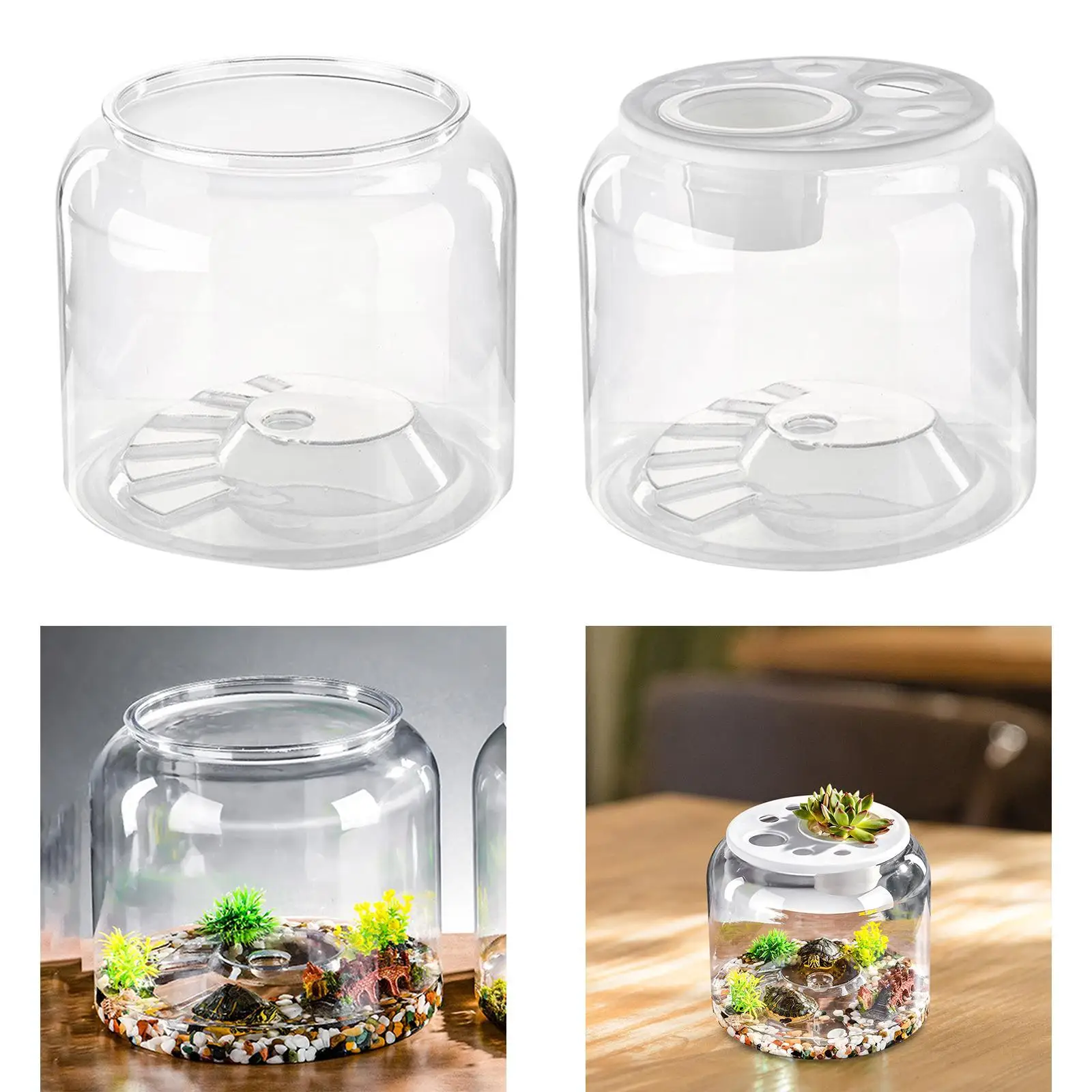 Turtle Tank Desktop Trendy DIY Micro Landscape Aquatic Aquarium Reptile Habitat for Bedroom Home Hotel Drawing Room Farmhouse