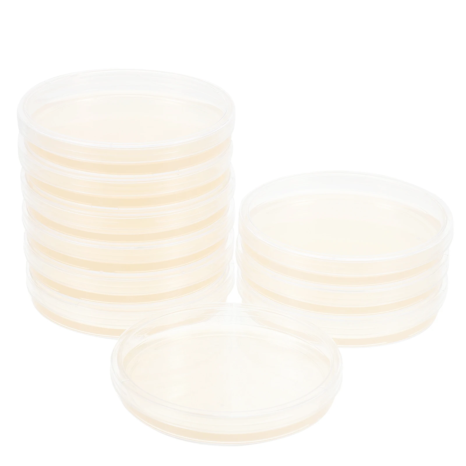Placas de petri de ágar pré-vertidas portáteis, placas de petri de ágar, projetos científicos, prato de cultura de laboratório, teste de petri de plástico selado para crianças com 10 peças