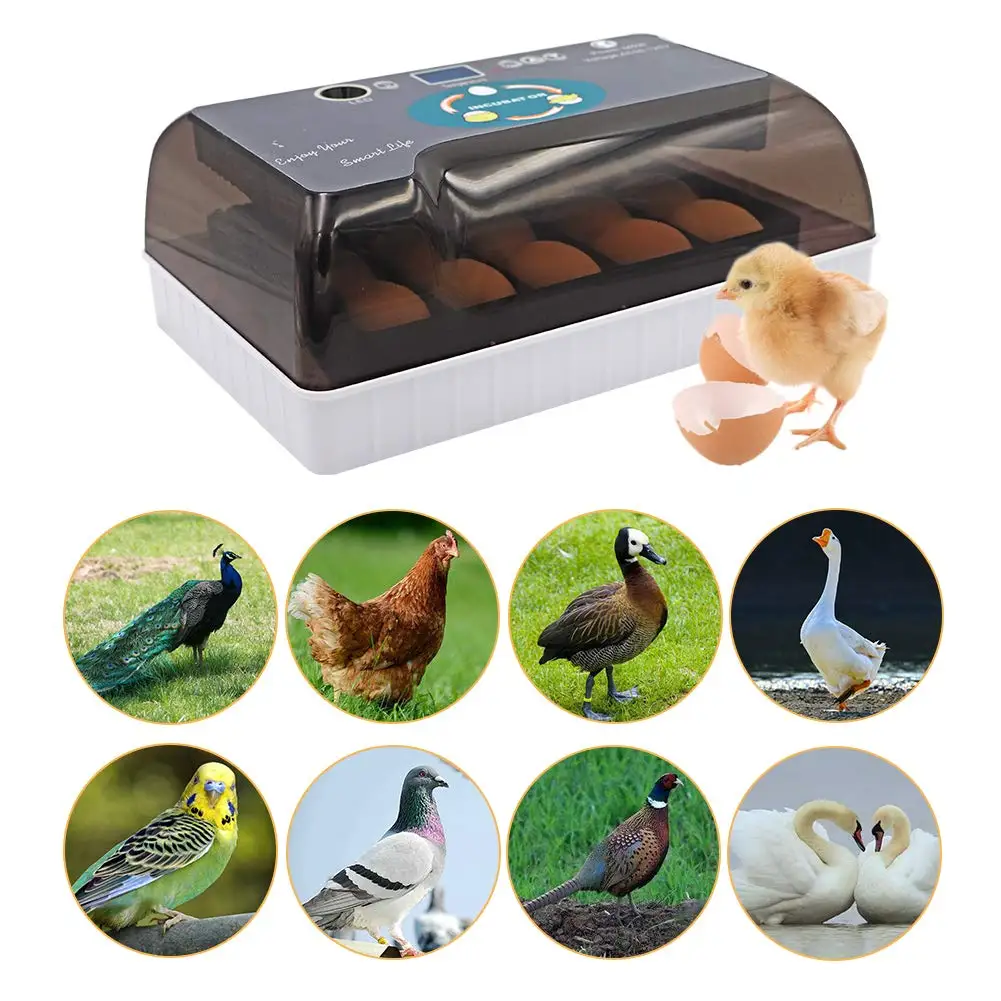 12 Egg Incubator Automatic Hatching Digital LED Egg Incubator Machine for Chickens Ducks Goose Birds