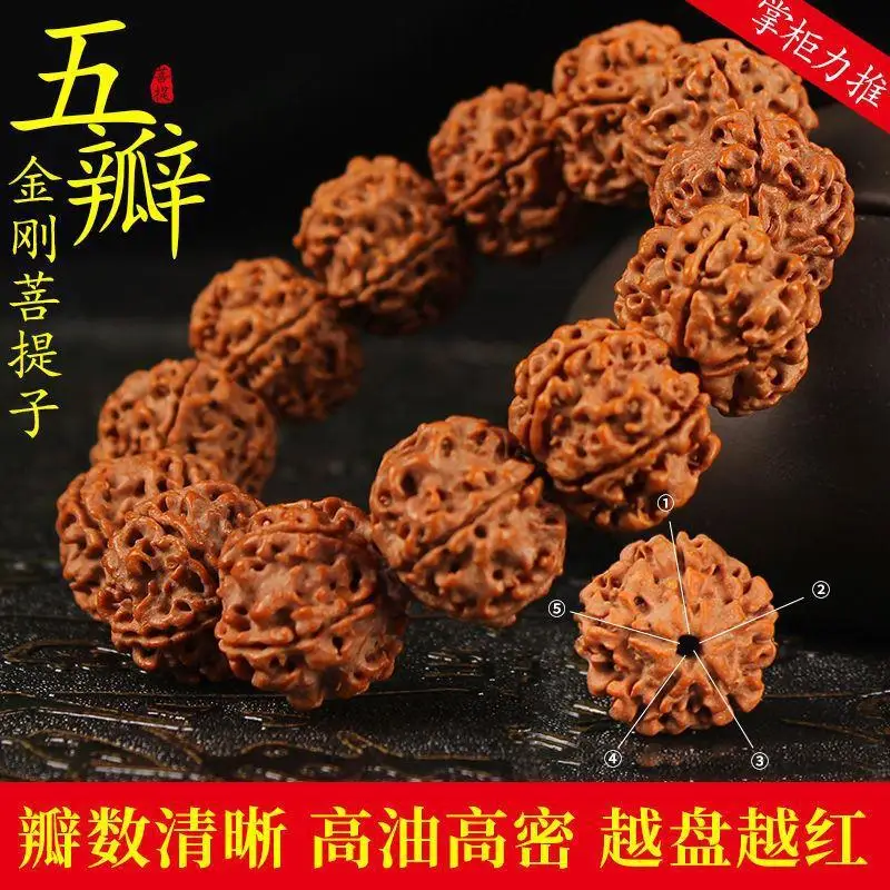 

Genuine Nepal Corpulent Quincuncial Piles Big Rudraksha Beads Bracelet Five Faces Original Seed Collectables-Autograph Rosary Me