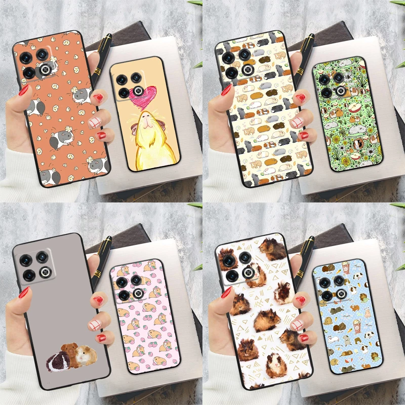 Cute Cartoon Guinea… - image