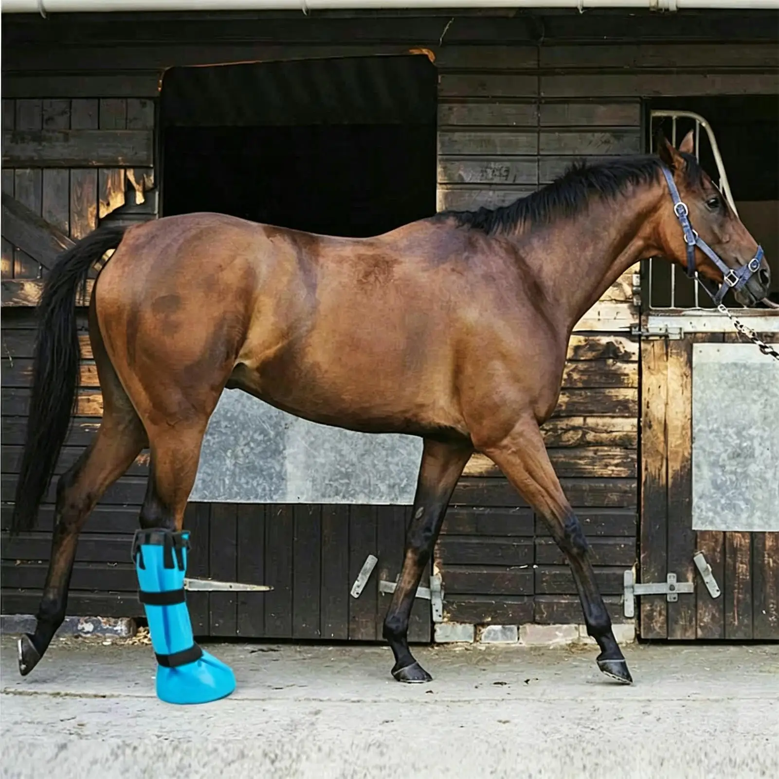 Horse Hoof Boots Protective Leg Care With EVA Pad Horse Leg Wraps Soaking Boot For Equine Livestock Abscess Thrush Poultice