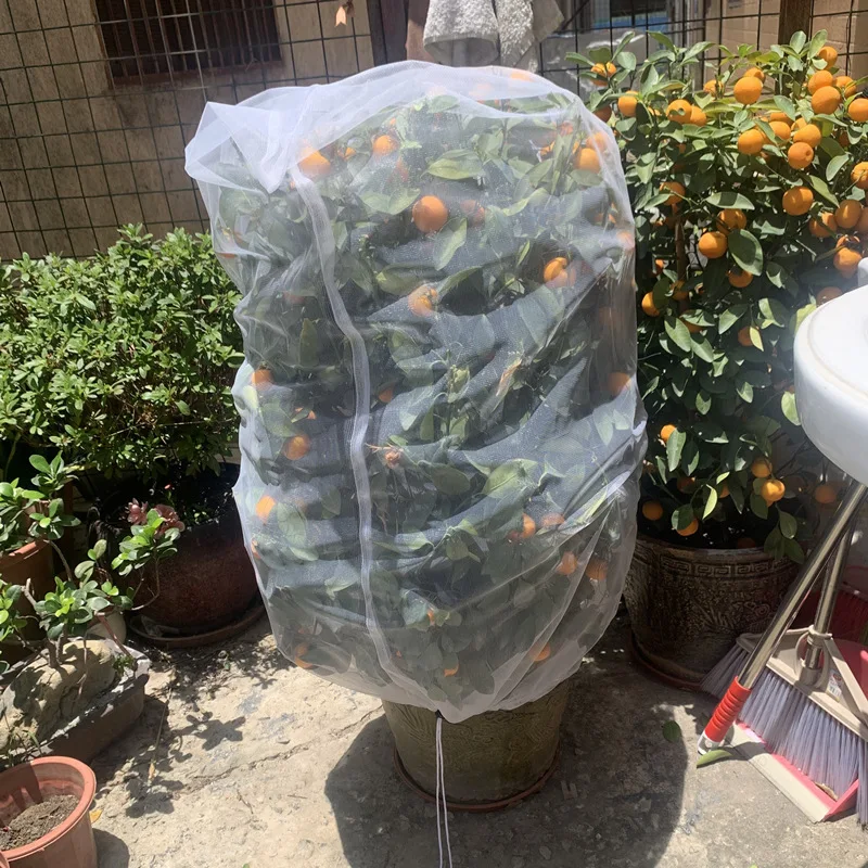 Saco de proteção vegetal para árvore Bonsai, tampa de frutas, Bug Net, controle de pragas, jardim anti-pássaro, pomar, inseto Net, ferramentas de