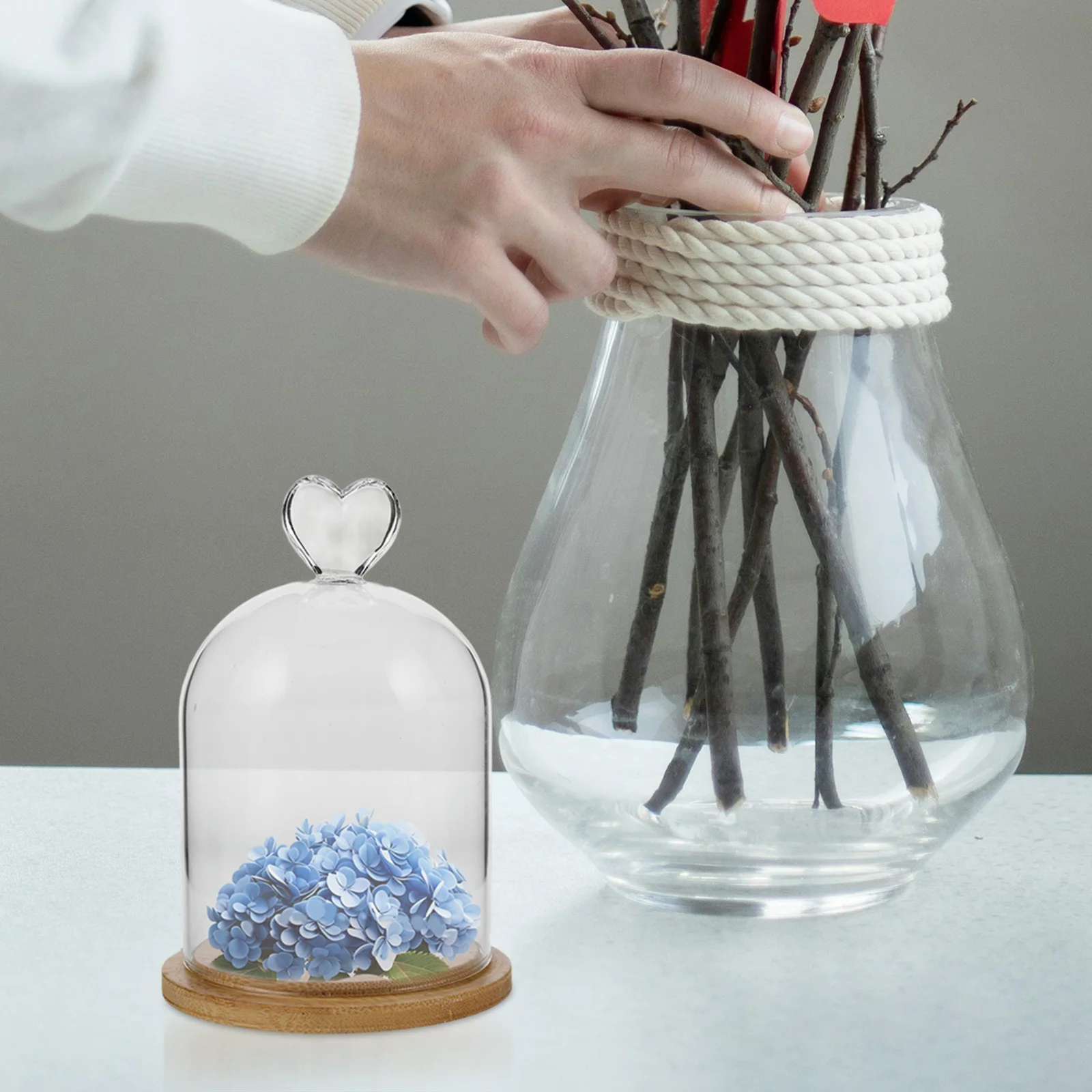 

Forever Flower Glass Cloche Dome Clear Display Bell Jar Decorative Transparent Glass Cover Wood Base for Dried Flowers Candles