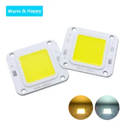 LED 4640 wysokiego napięcia odwrócony nieizolowany chip 20W 30W 50W 100W źródło światła do reflektorów wieża akcesoria do lamp wiszących