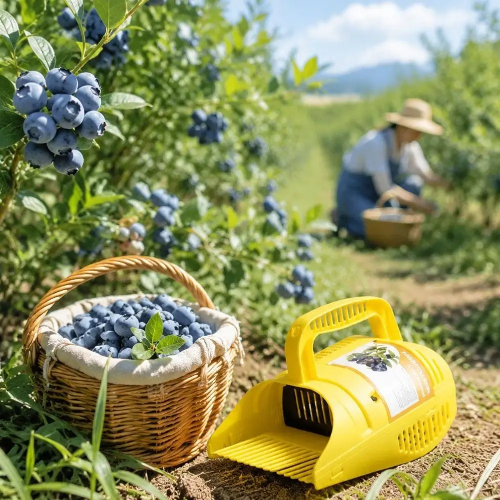 Lightweight Blueberry Picker Tool with Comb Teeth Large Capacity Collection Scoop Comfort Handle for Harvest Season Orchard