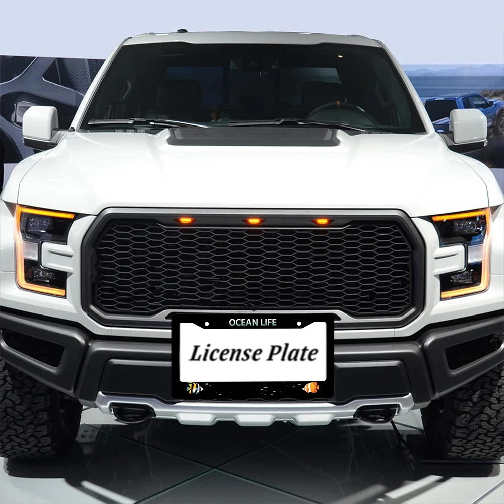 1 قطعة اللون الأسود المحيط الحياة نمط 2 حفرة إطار لوحة الترخيص ، مادة الألومنيوم ، 6x12 بوصة ، مع طقم مسامير ربط ، الكرتون ، المرح ، كاليفورنيا