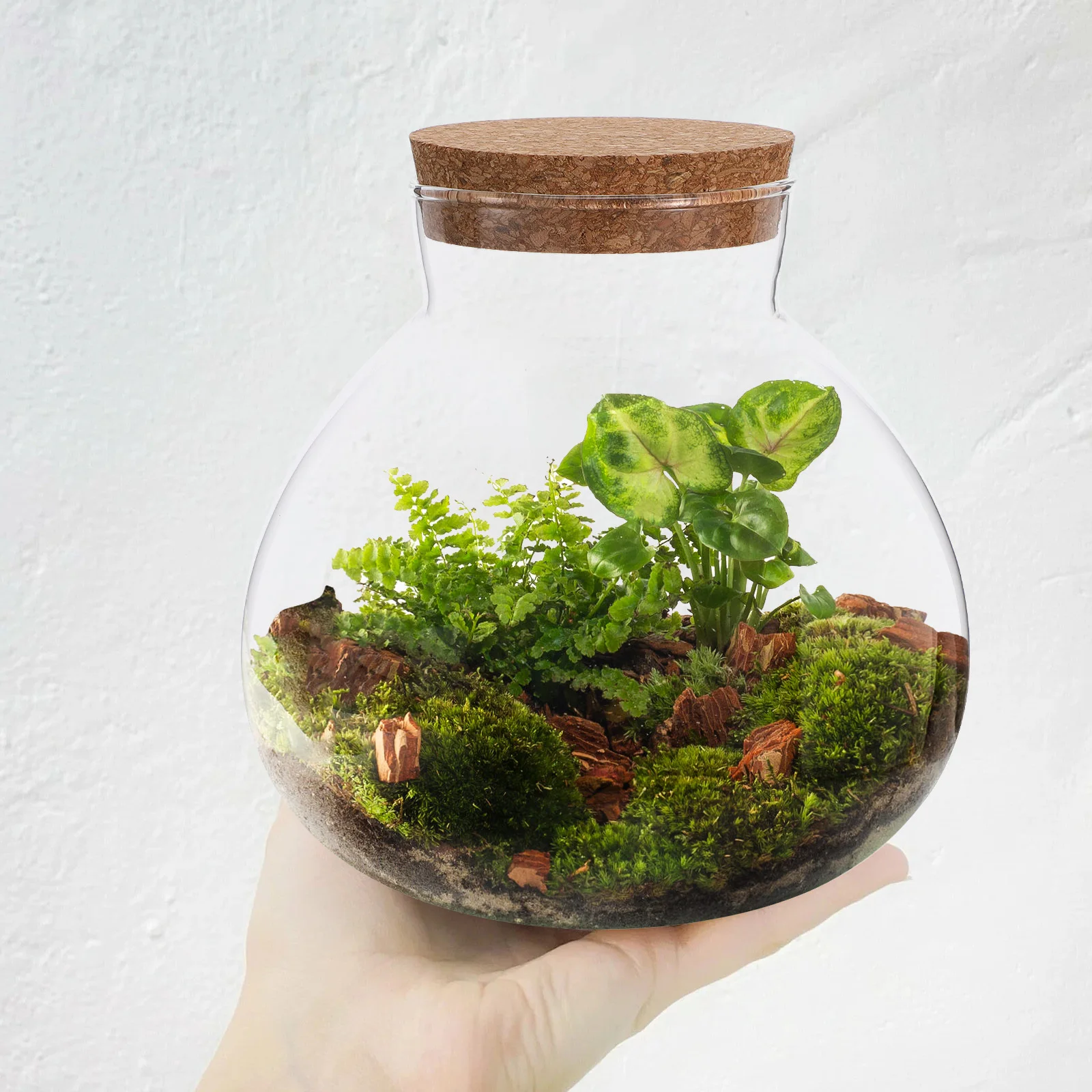 

Glass Landscape Bottle 15cmx16cm Round Terrarium Jar Cork Lid for Micro Landscape DIY Desktop Decoration Glass Terrarium