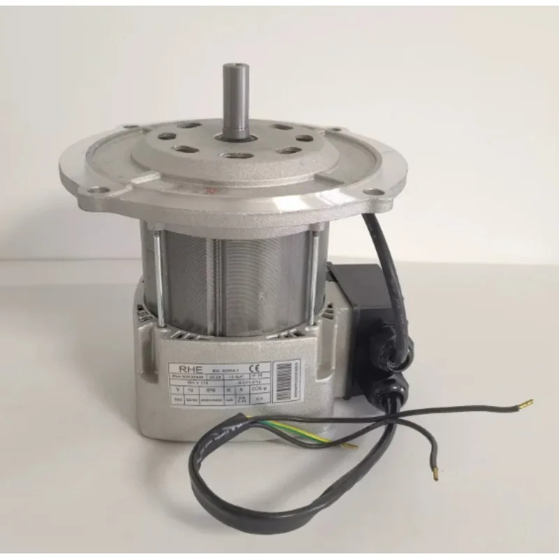 Industrial Burner Motor Model 475SE 250W GW 3005286 for RIELLO Burner and Heating System Applications
