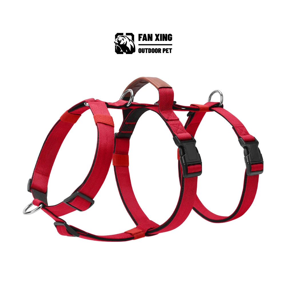 : Colliers, harnais et laisses