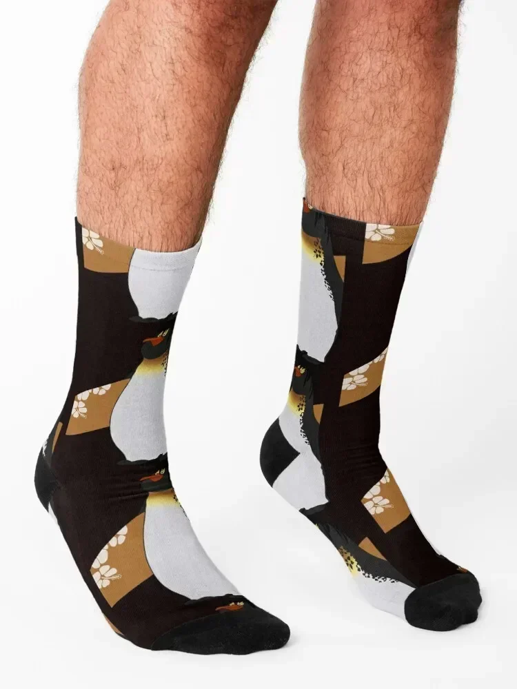 Big Z Socks heated men cotton high quality with print bright garter Girl'S Socks Men's