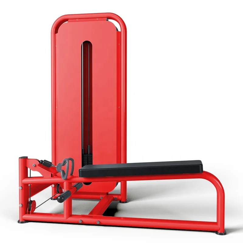 

Heavy Duty Plate Loaded Low Row Machine for Back Workout Gym Strength Training Equipment Commercial Low Row Machine