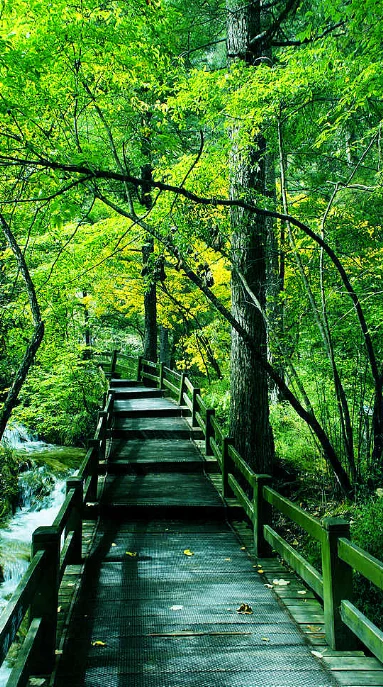 

Matek System XCLASS PDB FCHUB-12S V2 Board 5V & 12V Output w/ Current Sensor 3-12S Lipo for RC Drone FPV Quadcopter Multicopter