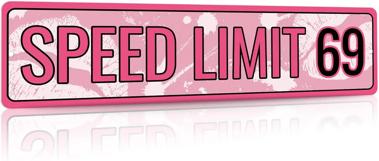 Putuo Decor Speed Limit 69 Sign - Funny Metal Sign, Hot Pink Trippy Room Decor, Pink Apartment Decor for College Girls, 16x4in