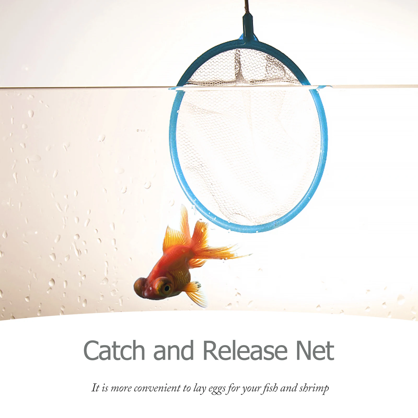 20 قطعة شبكات الصيد الاطفال شبكة أرضية مقبض مقاوم للانزلاق لخزان الأسماك الصيد الروبيان الصيد حوض السمك شبكة صغيرة