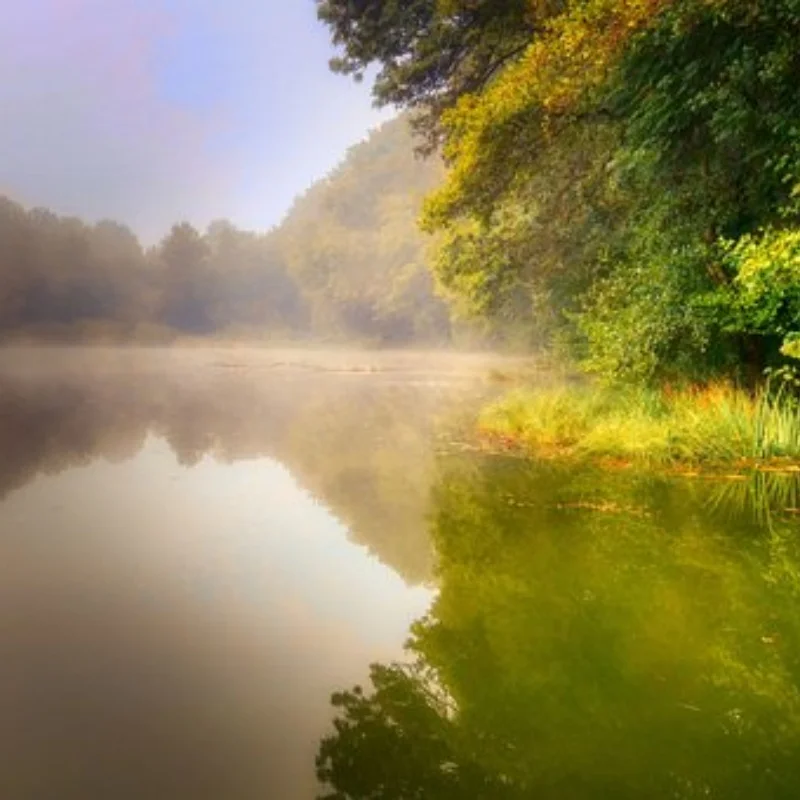 

WLtoys 124007 124017 124019 144001 144002 RIaarIo XDKJ-001 006 AM-X12 Детали радиоуправляемого автомобиля Металлические аксессуары для обновления и модификации