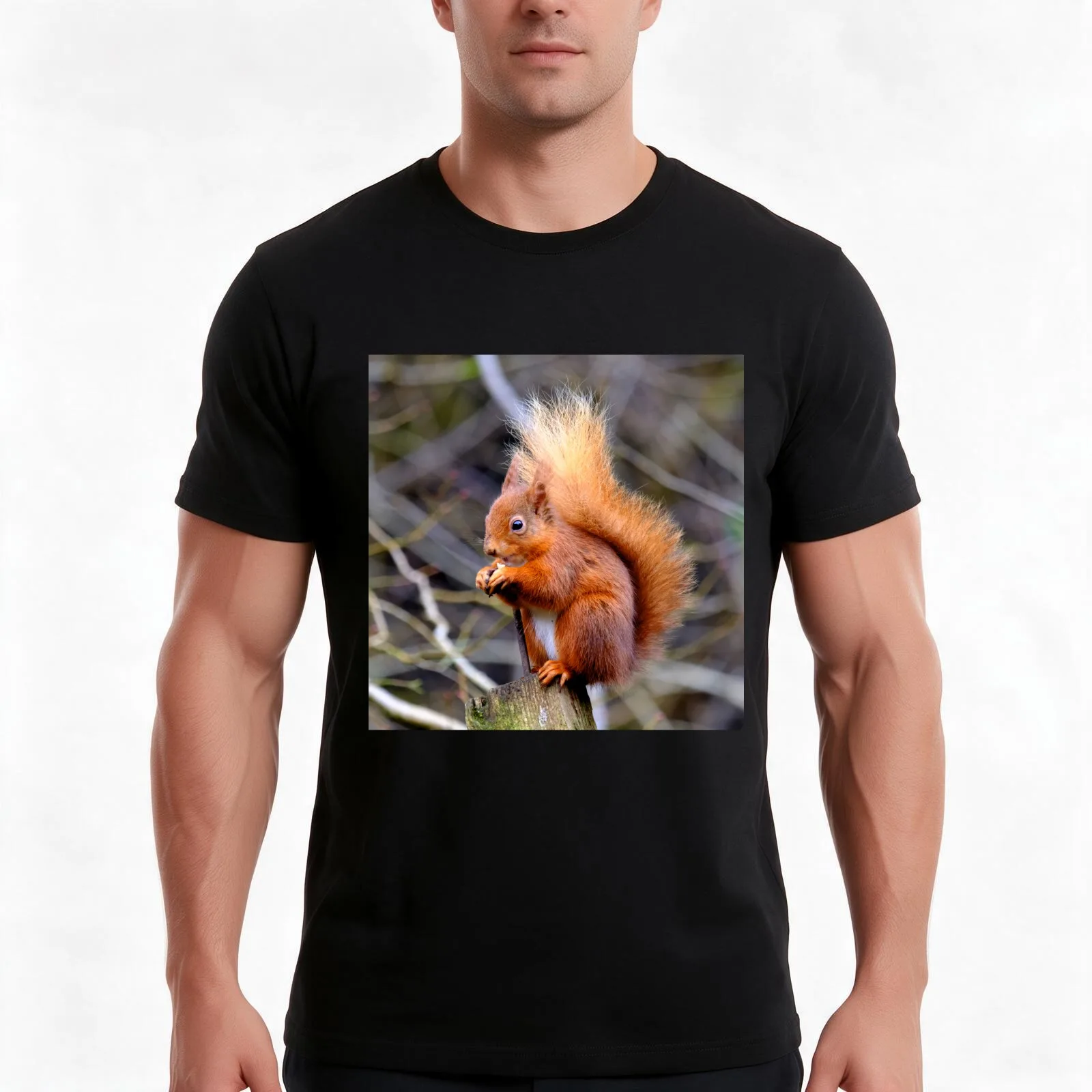 Red Squirrel. T-Shirt, Summer Casual Cotton Tee, Oversized Streetwear Tops, Vintage Graphic Print, Loose Fit Short Sleeve