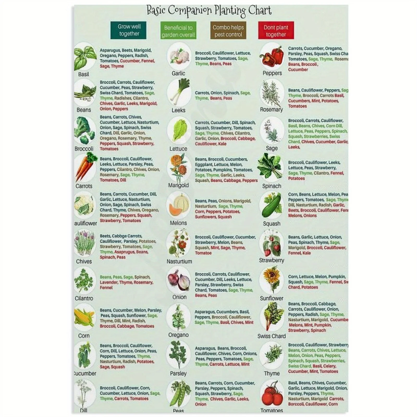 FIDSUY Basic Companion Planting Chart Poster Canvas Garden Planting Guide with Colorful Illustrations,Frameless Wall Artfor Home