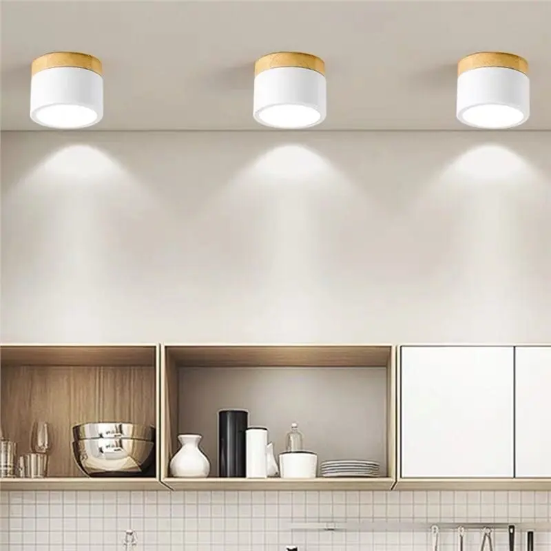 A50I Nordic Style LED Ceiling Mounted Downlight Spot Light For Indoor Living Room, Foyer