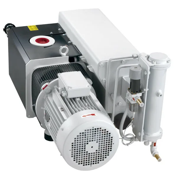 

Leybold SV300 Rotary Vane Vacuum Pump Repair Kit - Maintenance Parts for Single Stage Pump