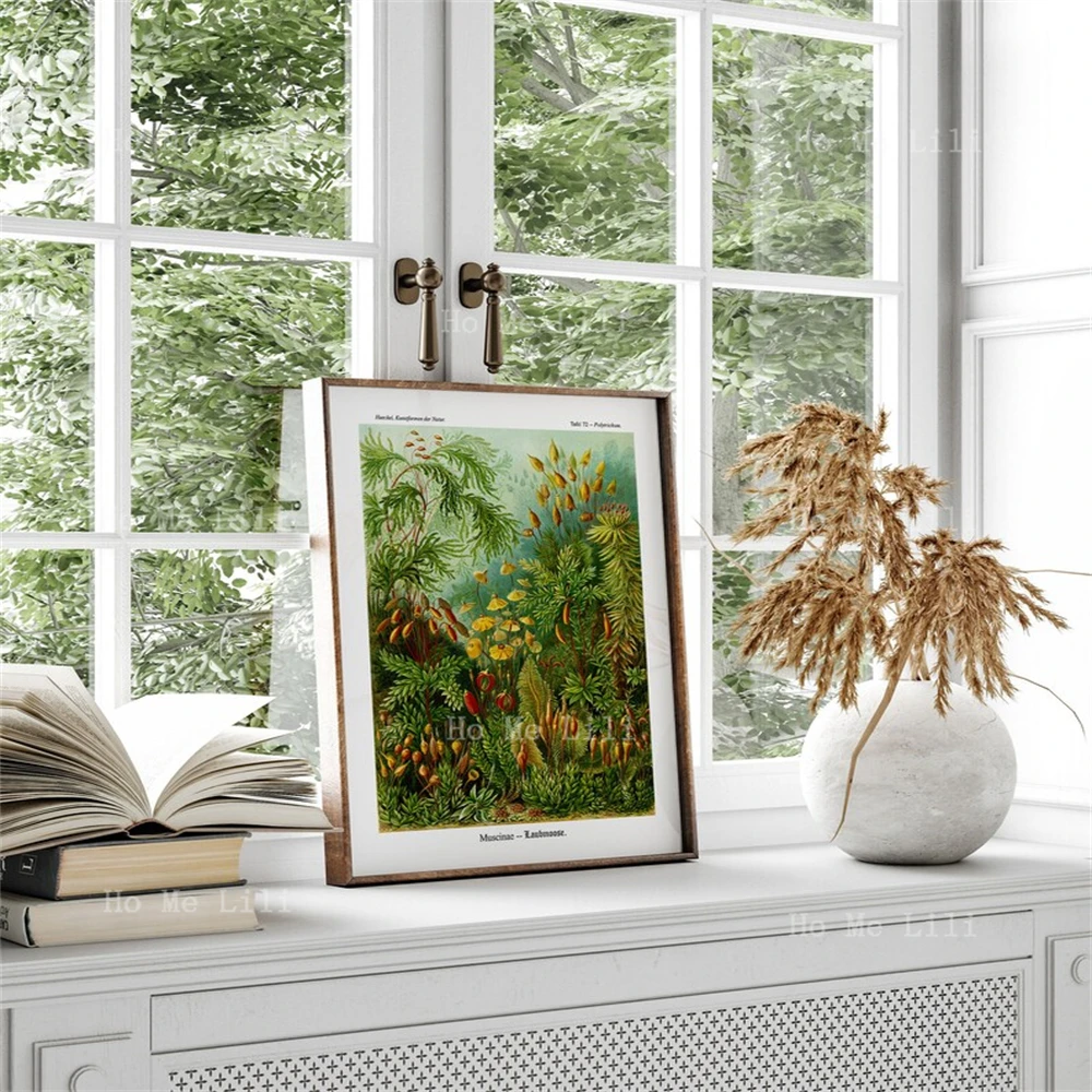 Moss Wall Art In The Natural World Wall Decoration Oil Painting