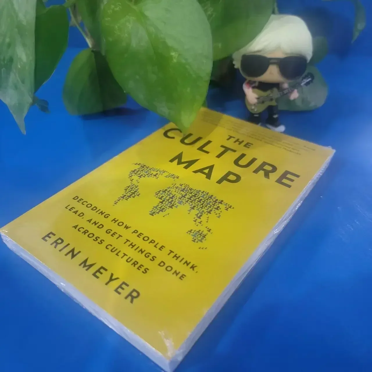 The Culture Map by Erin Meyer Decoding How People Think,Lead And Get Things Done Across Cultures English book