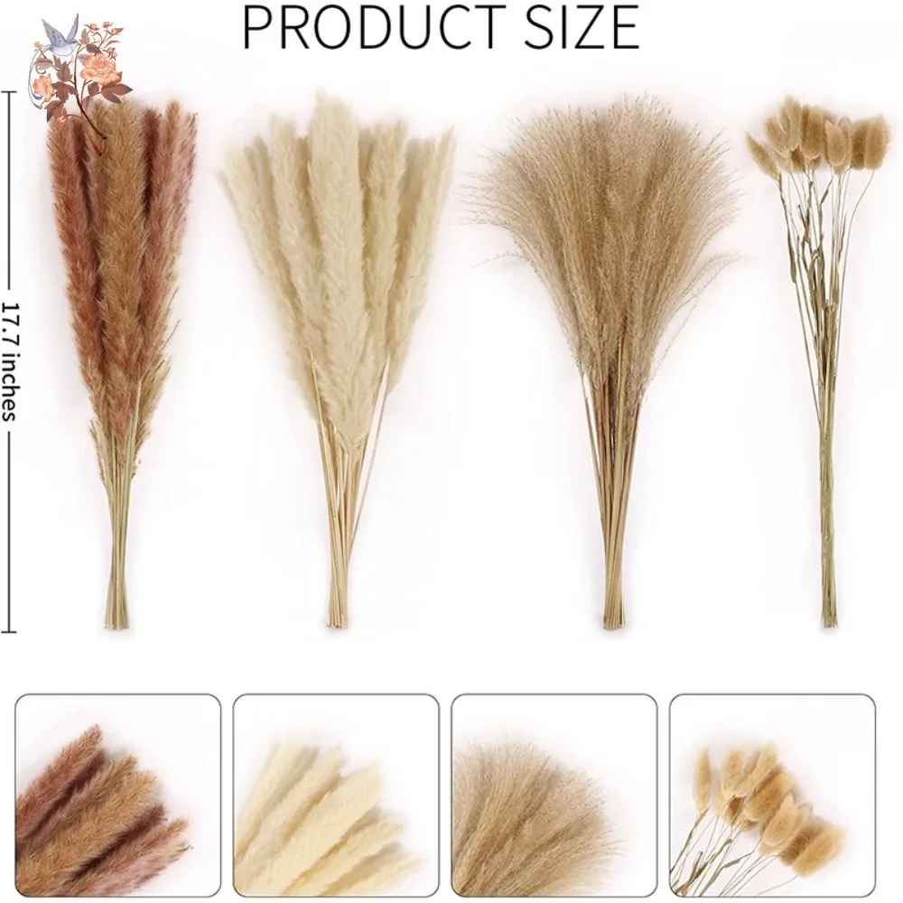 100 قطعة من الزهور المجففة الطبيعية رقيق بامباس الديكور الزفاف الحقيقي أرنب ذيول العشب باقة بوهو ريفي ترتيب المنزل #6