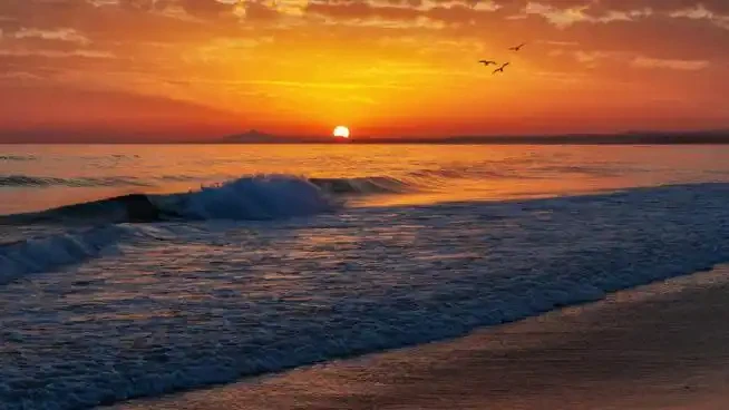 

Для Toyota Camry 2012-2020 7 шт. автомобильные светодиодные внутренние лампы комплект купольной лампы для чтения багажника автомобильные фары сигнальная лампа