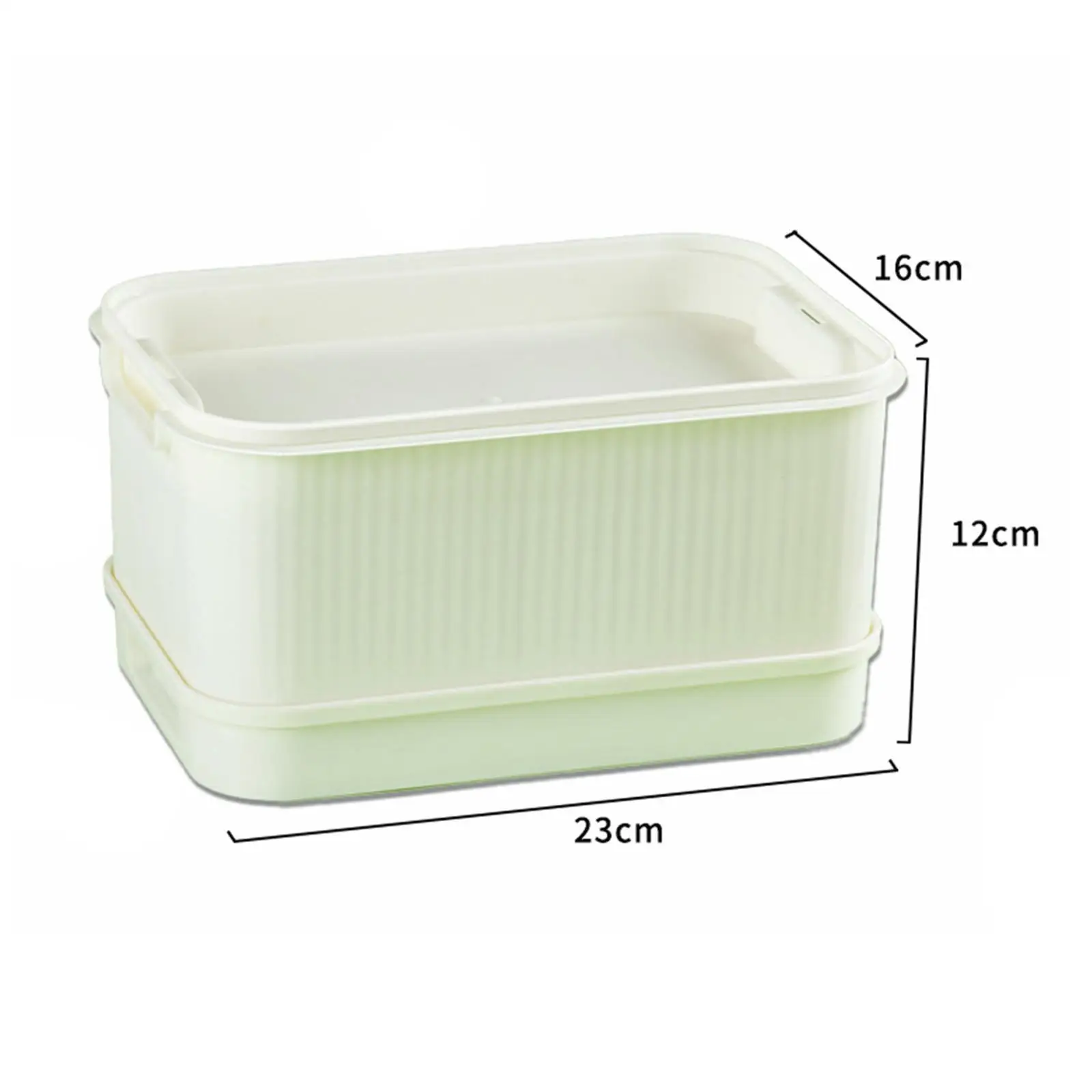 Sprouting Tray Partition Design Planting Container Large Capacity for Bean and Vegetable Seeds Indoor