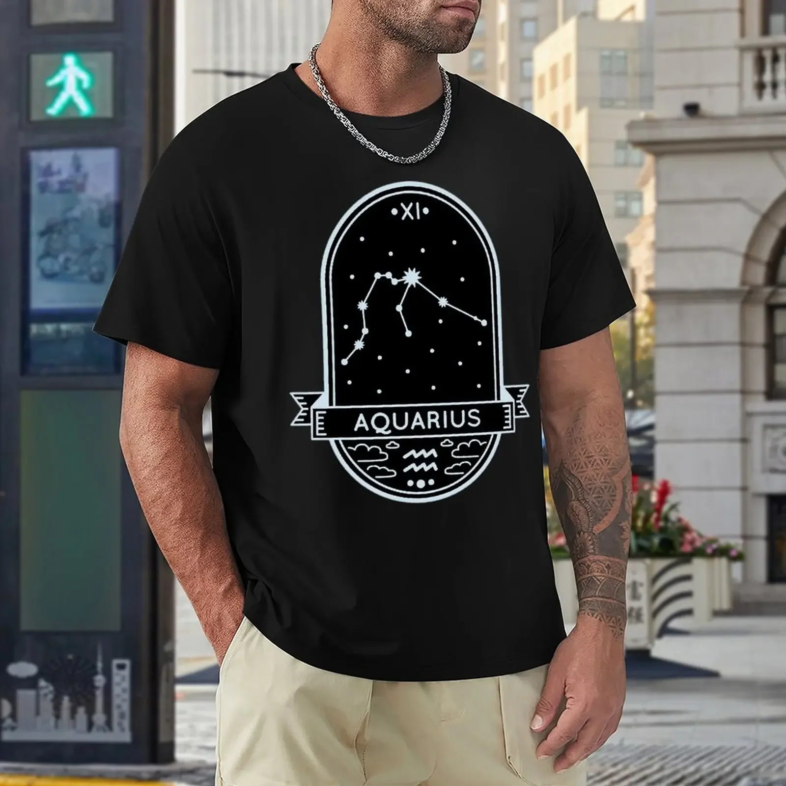 

Crewneck Aquarius Twelve Constellation (2) T-shirt Motion Top Tee Novelty Humor Graphic Home Eur Size