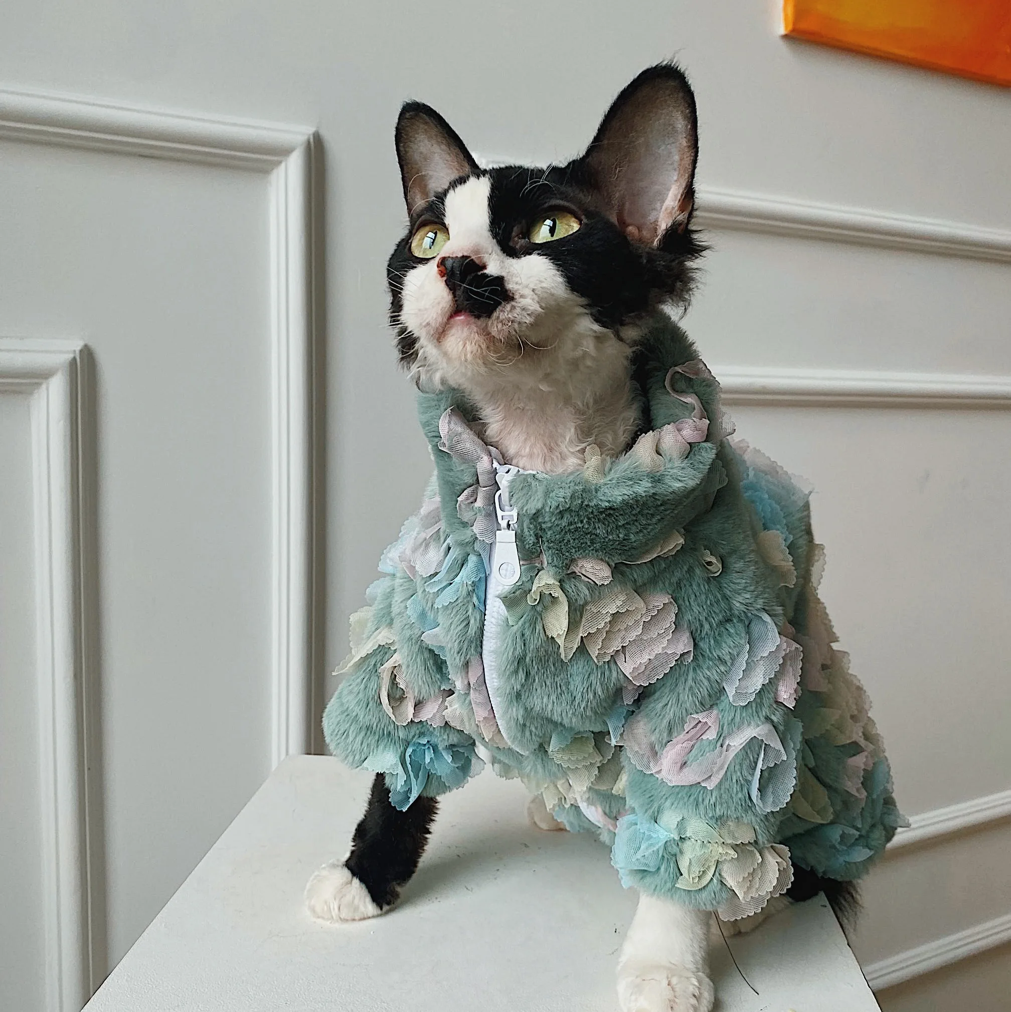 Luxury Floral Cat Clothing Winter Sweater for Sphynx Cat Warm Plush Loungewear for Kittens Fancy Long Sleeves Suit for Devon Rex