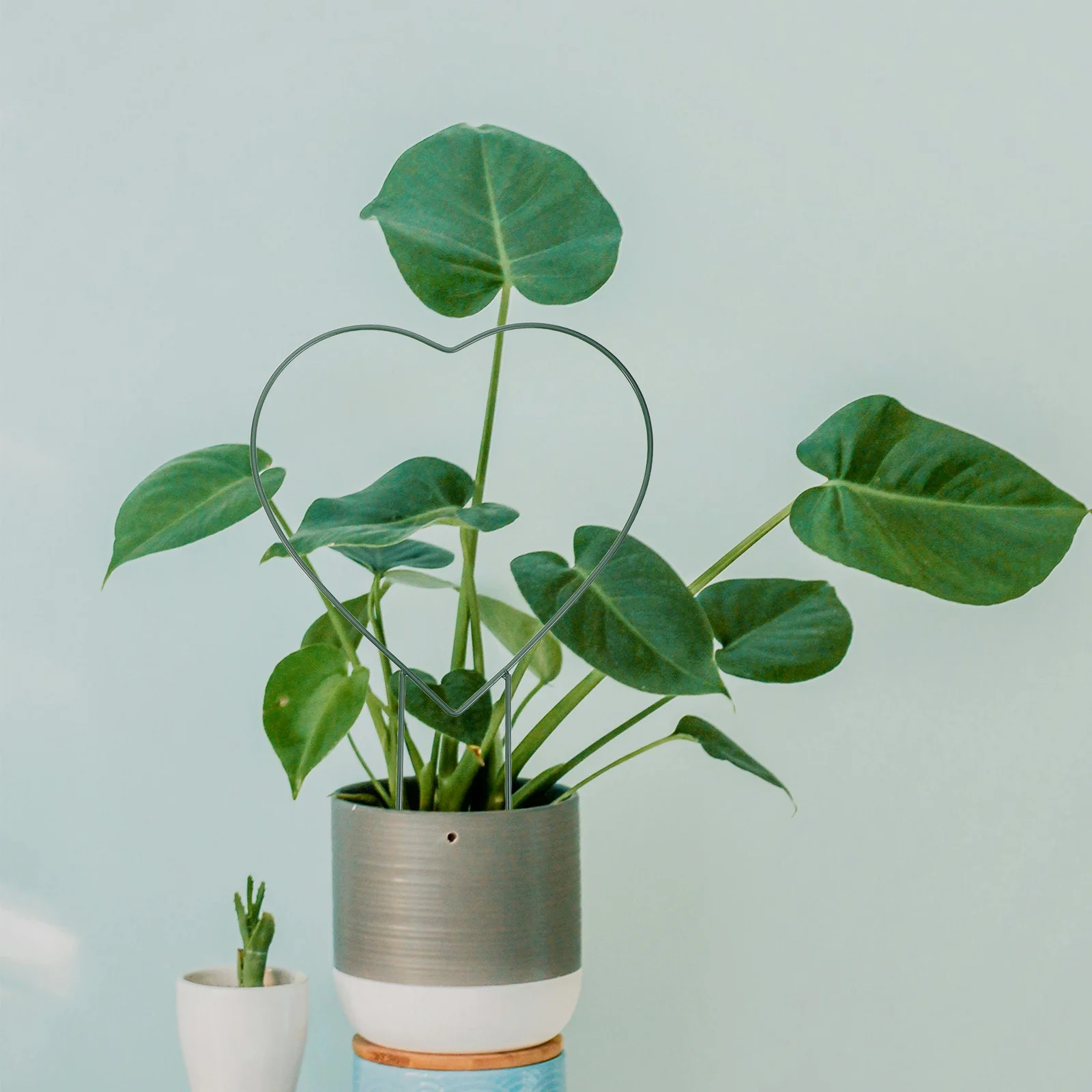 

2Pcs Garden Trellis Flower Climbing Plant Support Frame Iron Stand Outdoor Decorative Vegetable Vine Climbing Rack Reusable