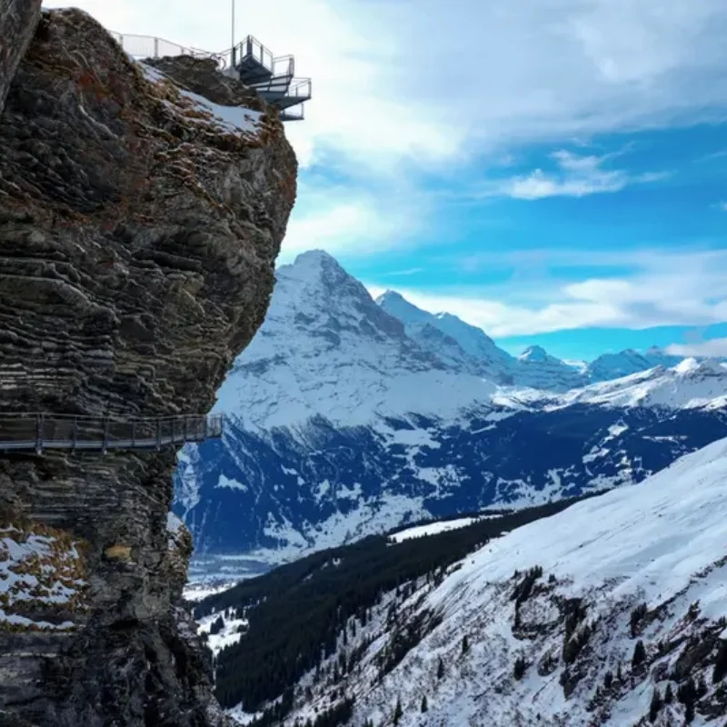 

JX Servo PDI-HV5921MG Digital Servo - 20KG Torque, 0.123 Sec/60° at 8.4V, Waterproof, Metal Gear